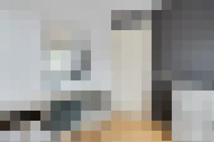 Korenaar 22 Beemte Broekland thumbnail 20