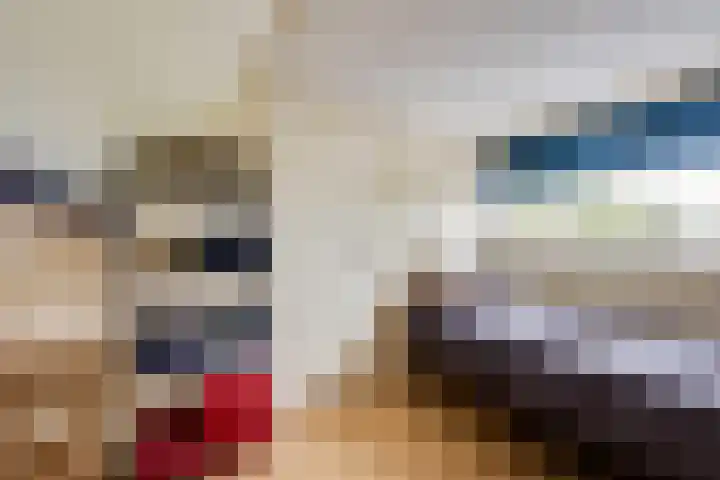 Korenaar 22 Beemte Broekland thumbnail 24