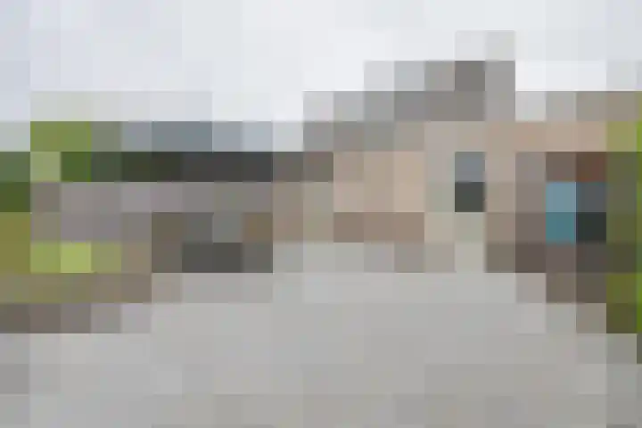 Korenaar 22 Beemte Broekland thumbnail 26