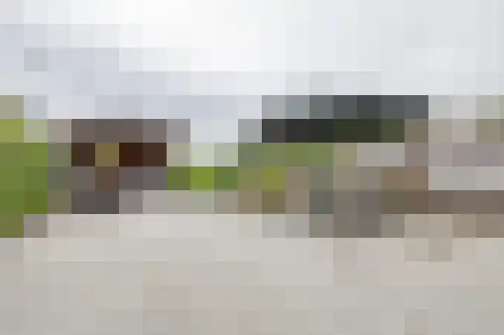 Korenaar 22 Beemte Broekland thumbnail 27