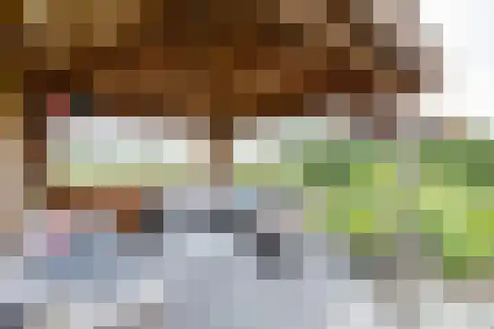 Korenaar 22 Beemte Broekland thumbnail 28