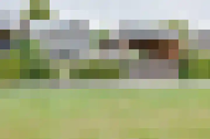 Korenaar 22 Beemte Broekland thumbnail 29
