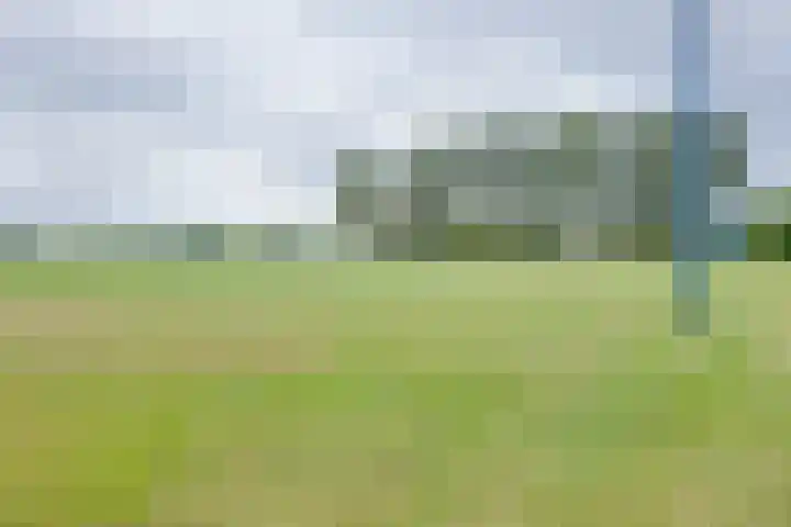 Korenaar 22 Beemte Broekland thumbnail 31