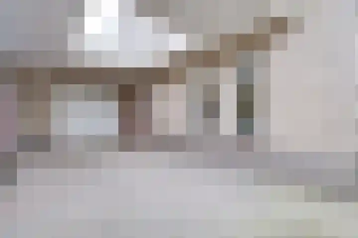 Korenaar 22 Beemte Broekland thumbnail 32