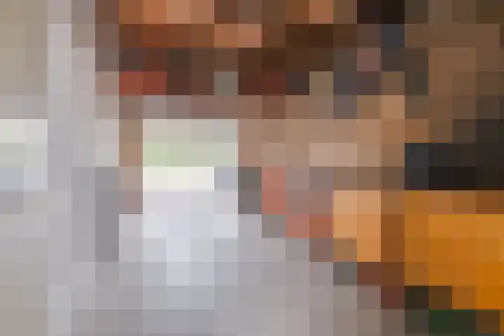Korenaar 22 Beemte Broekland thumbnail 34
