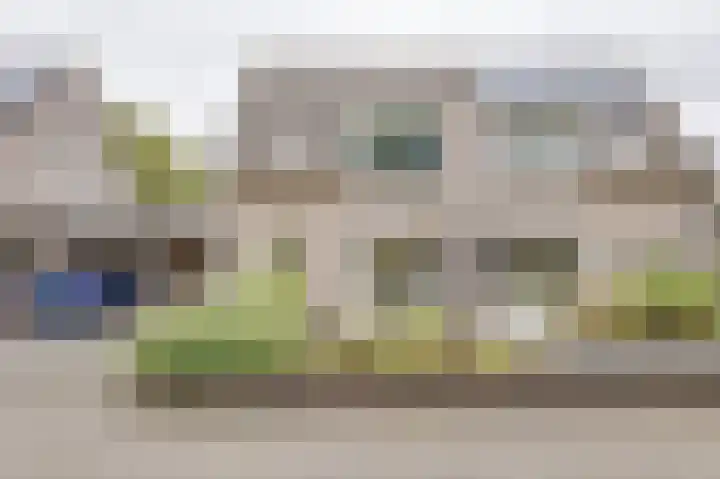 Korenaar 22 Beemte Broekland thumbnail 36