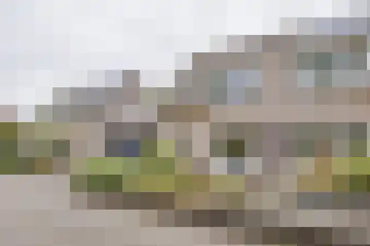 Korenaar 22 Beemte Broekland thumbnail 37