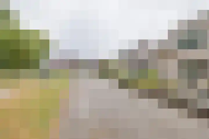 Korenaar 22 Beemte Broekland thumbnail 38
