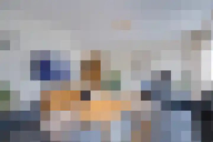 Korenaar 22 Beemte Broekland thumbnail 4