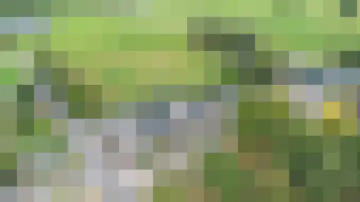 Korenaar 22 Beemte Broekland thumbnail 40