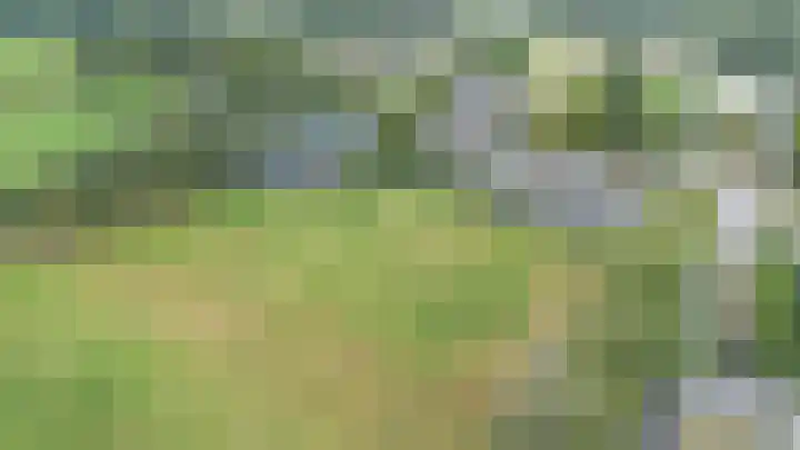 Korenaar 22 Beemte Broekland thumbnail 41