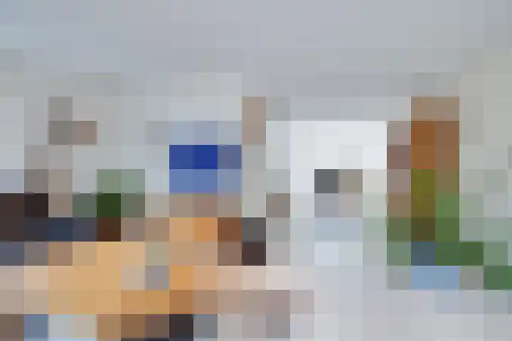 Korenaar 22 Beemte Broekland thumbnail 6