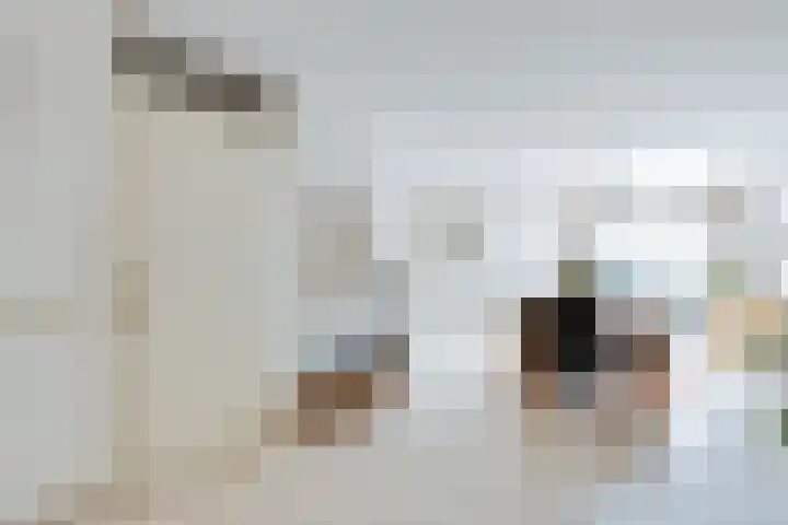 Korenaar 22 Beemte Broekland thumbnail 7