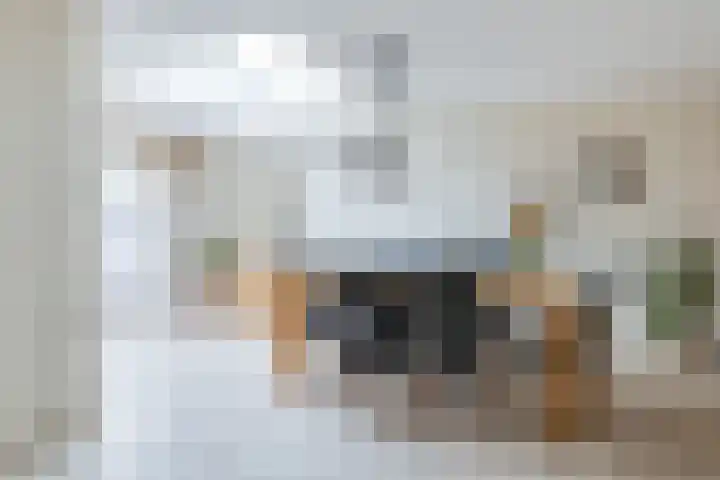 Korenaar 22 Beemte Broekland thumbnail 8