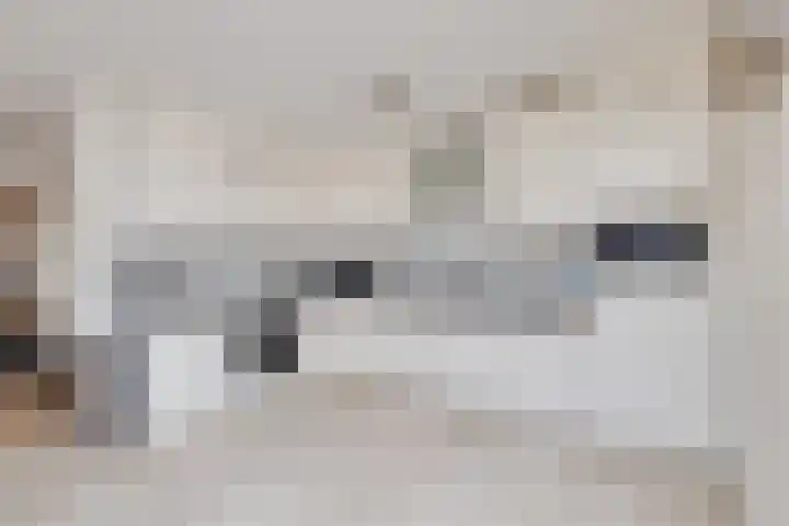 Korenaar 22 Beemte Broekland thumbnail 9