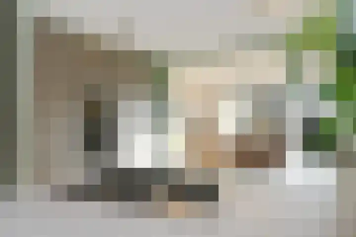 Korenaar 24 Weert thumbnail 10