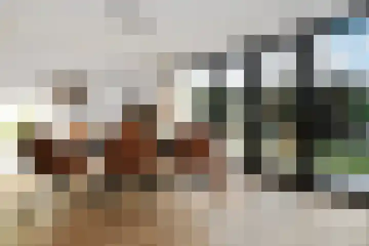 Korenaar 24 Weert thumbnail 13