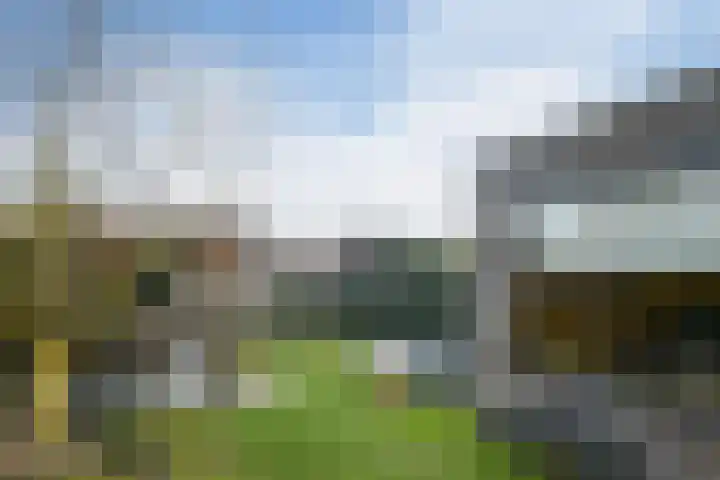 Korenaar 24 Weert thumbnail 30
