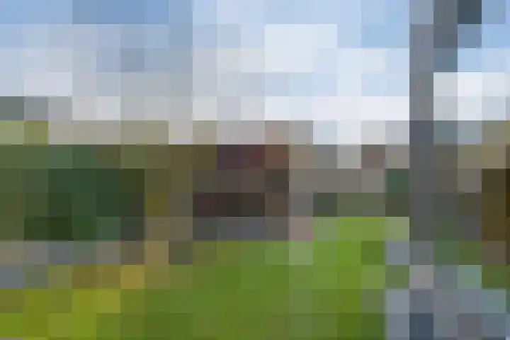 Korenaar 24 Weert thumbnail 31