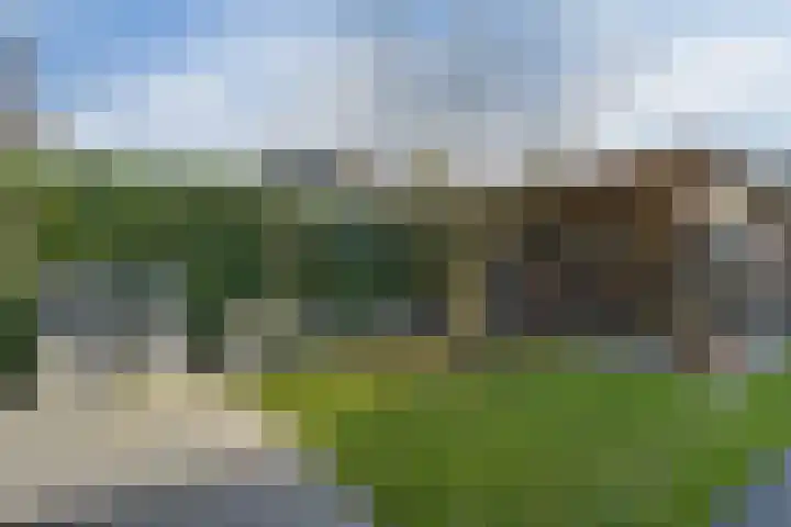 Korenaar 24 Weert thumbnail 32