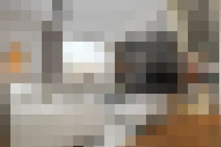 Korenaar 24 Weert thumbnail 6