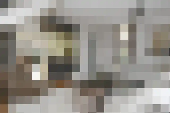 Korenaar 24 Weert thumbnail 8