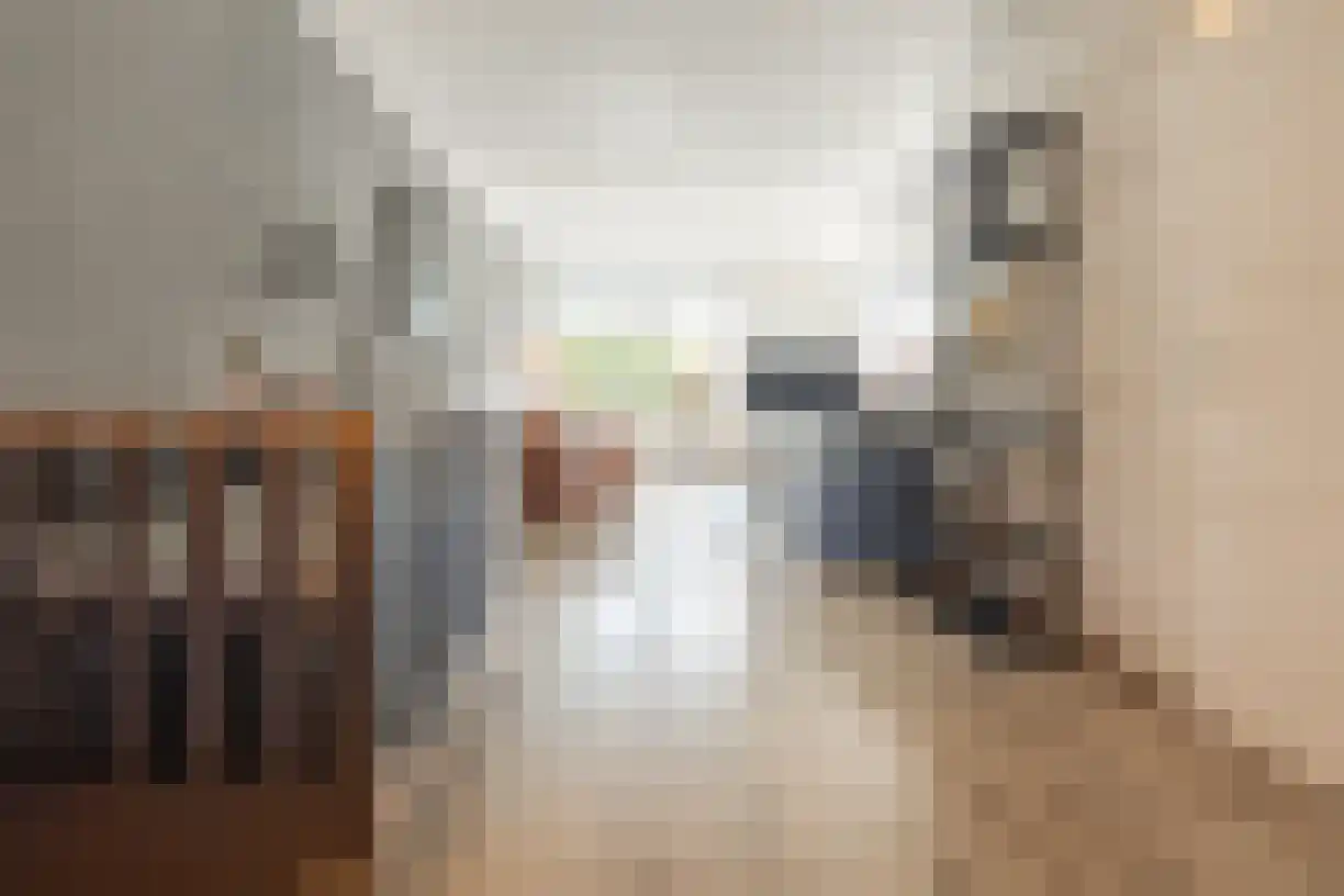 Korenaar 8 Wierden thumbnail 15