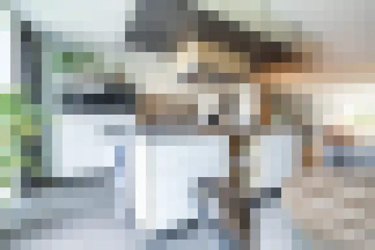 Korenaar 8 Wierden thumbnail 18
