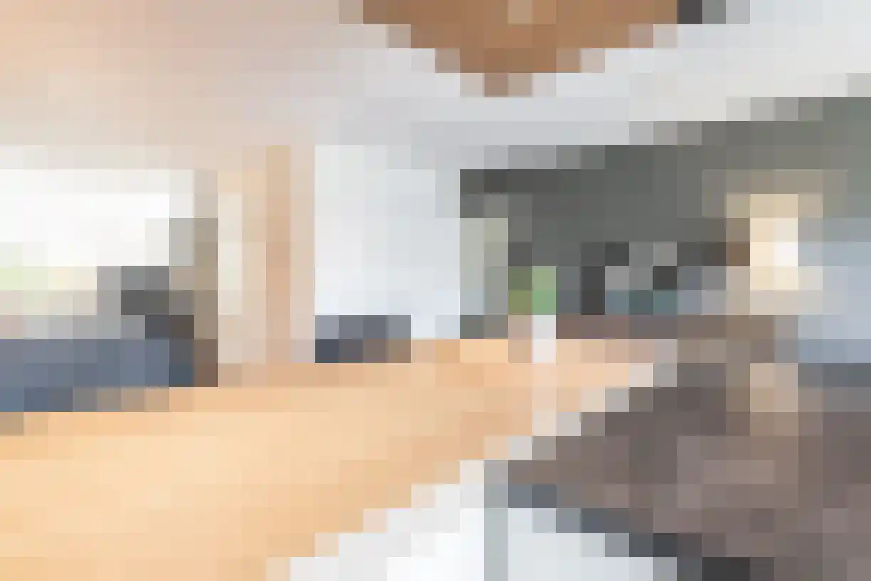 Korenaar 8 Wierden thumbnail 21