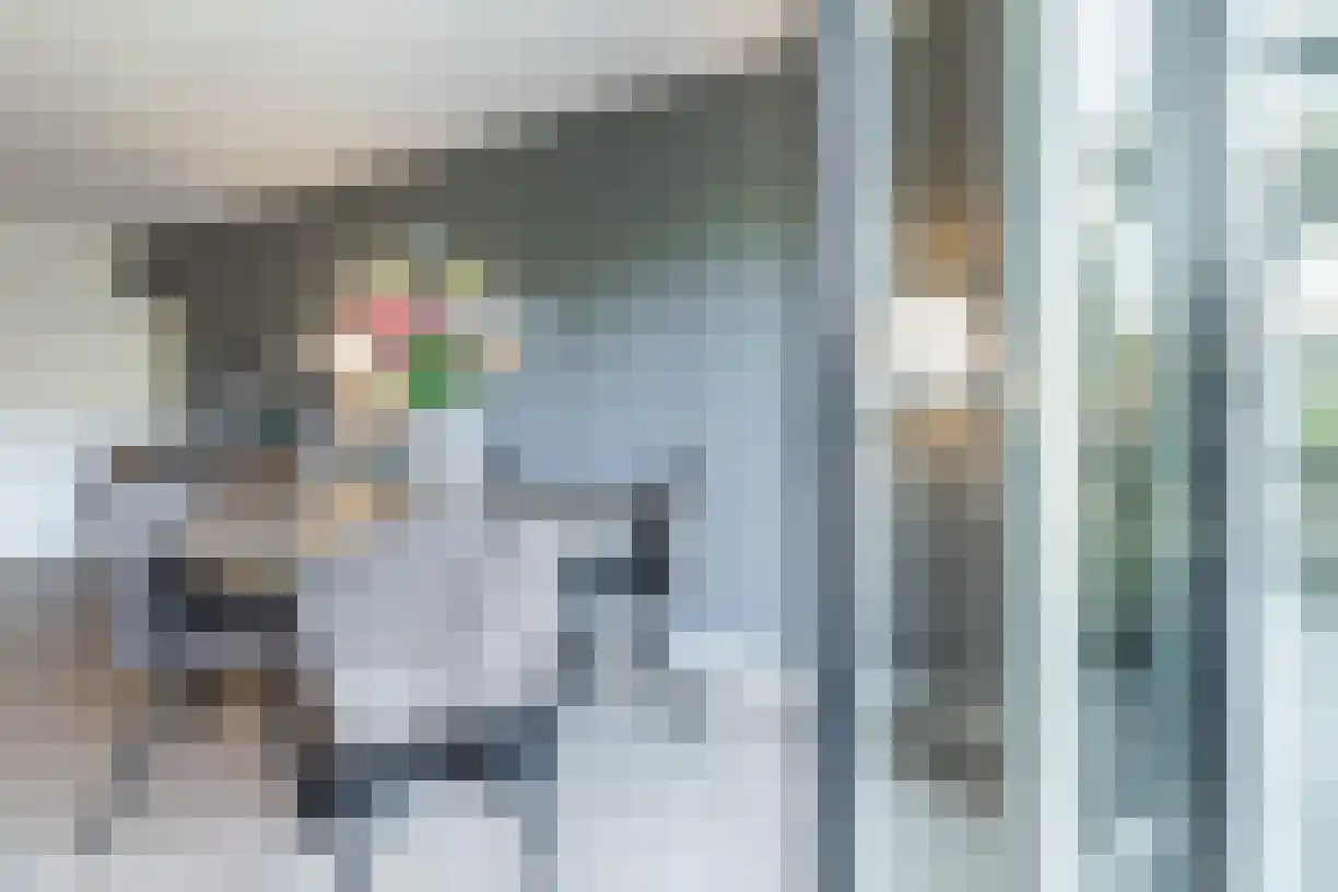 Korenaar 8 Wierden thumbnail 24