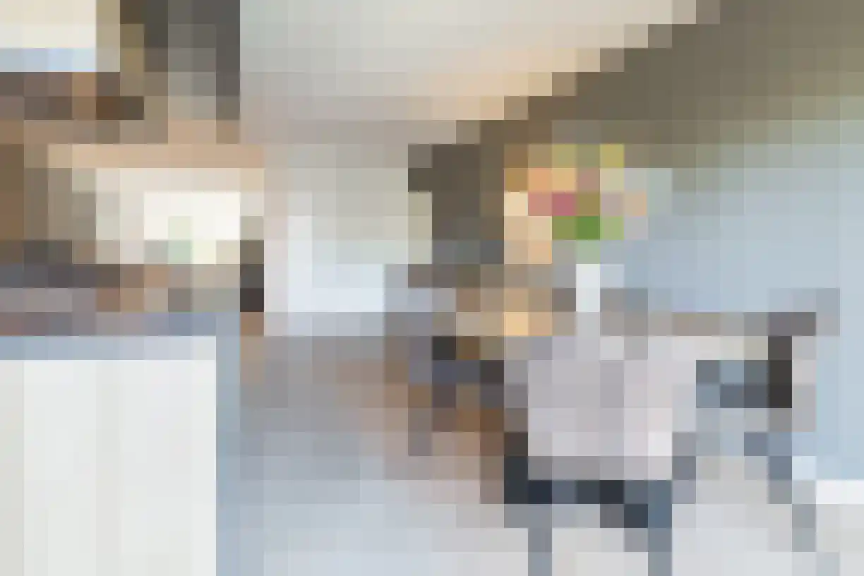 Korenaar 8 Wierden thumbnail 25