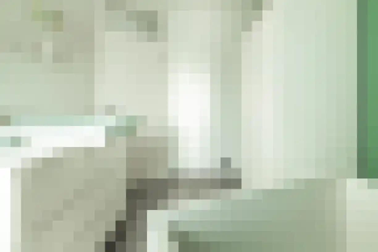 Korenaar 8 Wierden thumbnail 36
