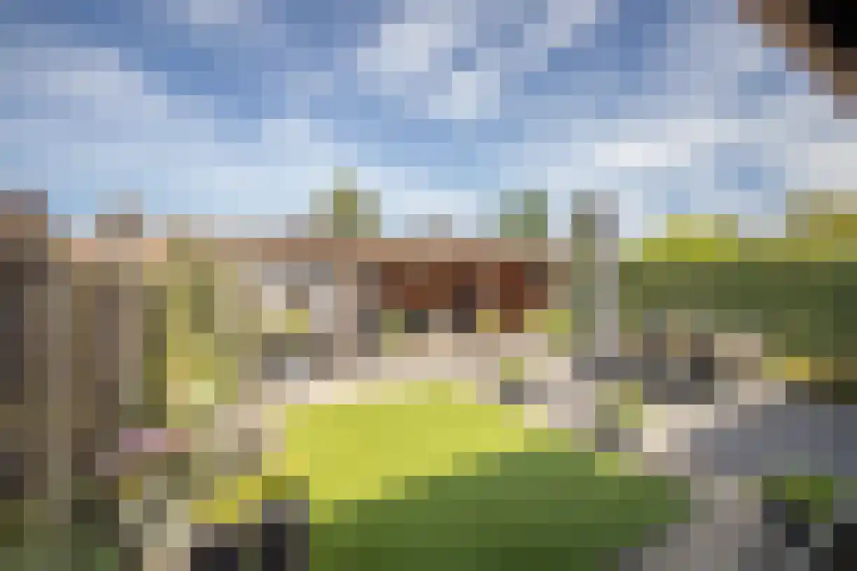 Korenaar 8 Wierden thumbnail 4