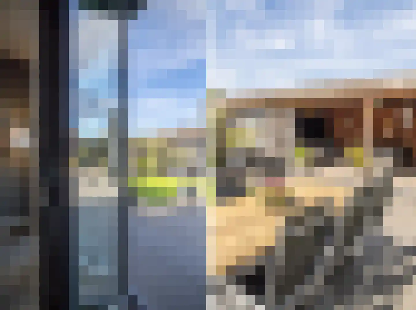 Korenaar 8 Wierden thumbnail 43