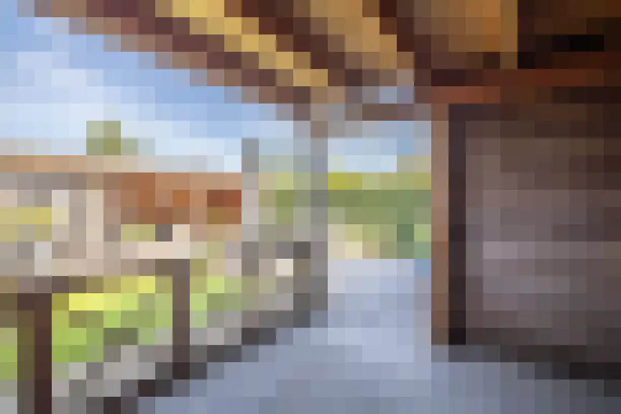 Korenaar 8 Wierden thumbnail 44