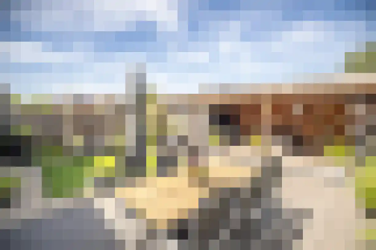 Korenaar 8 Wierden thumbnail 48