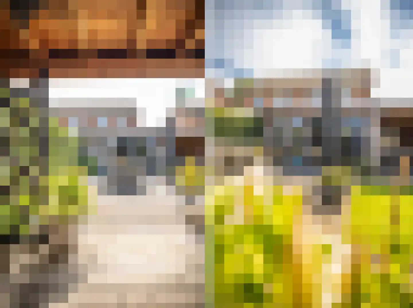 Korenaar 8 Wierden thumbnail 49