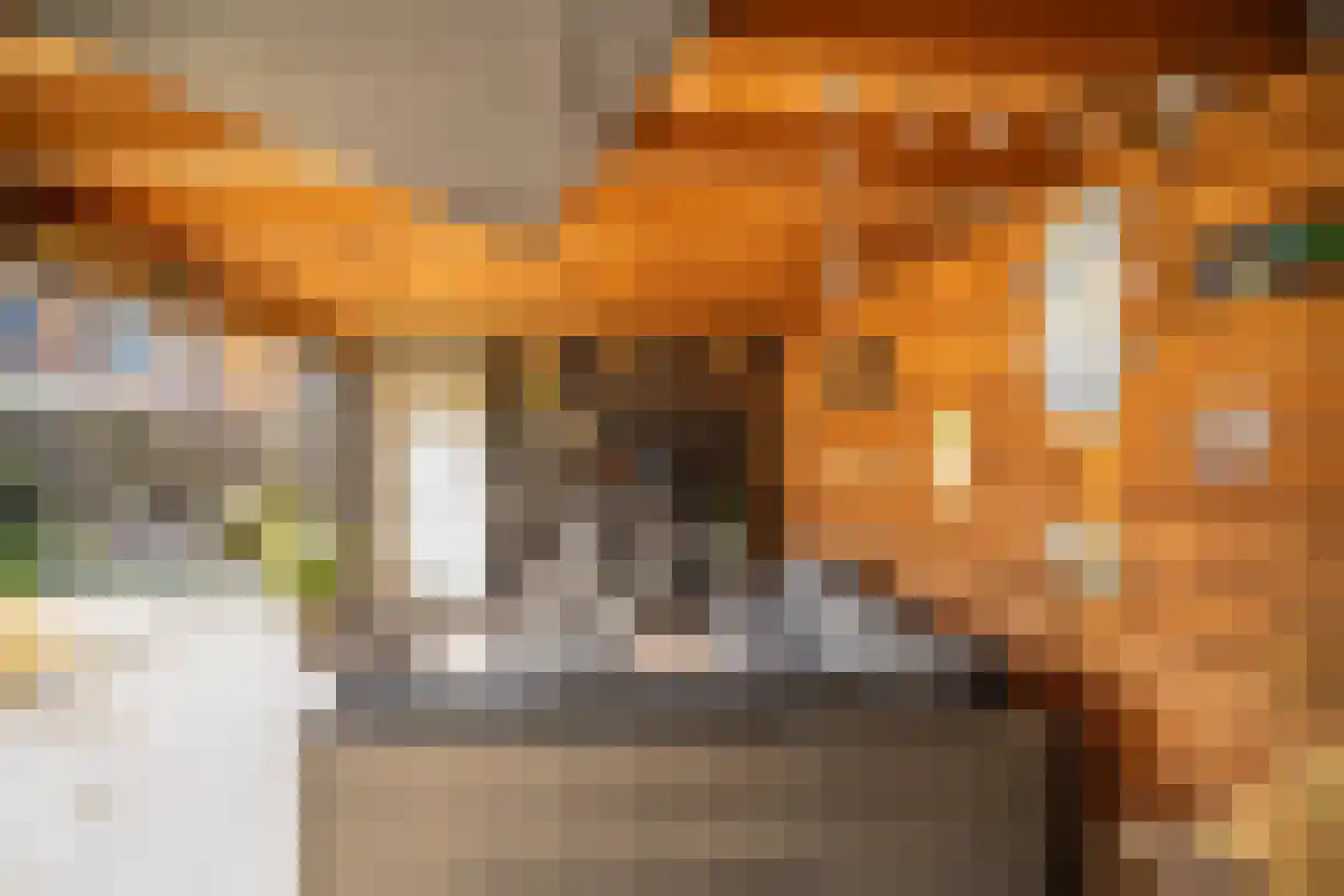 Korenaar 8 Wierden thumbnail 51
