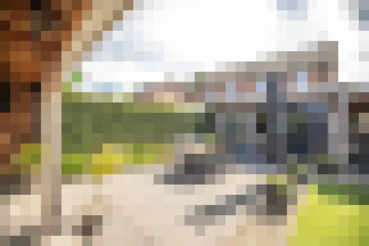 Korenaar 8 Wierden thumbnail 53