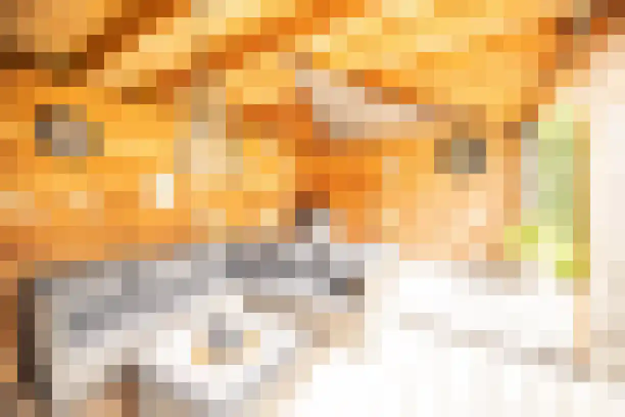 Korenaar 8 Wierden thumbnail 54