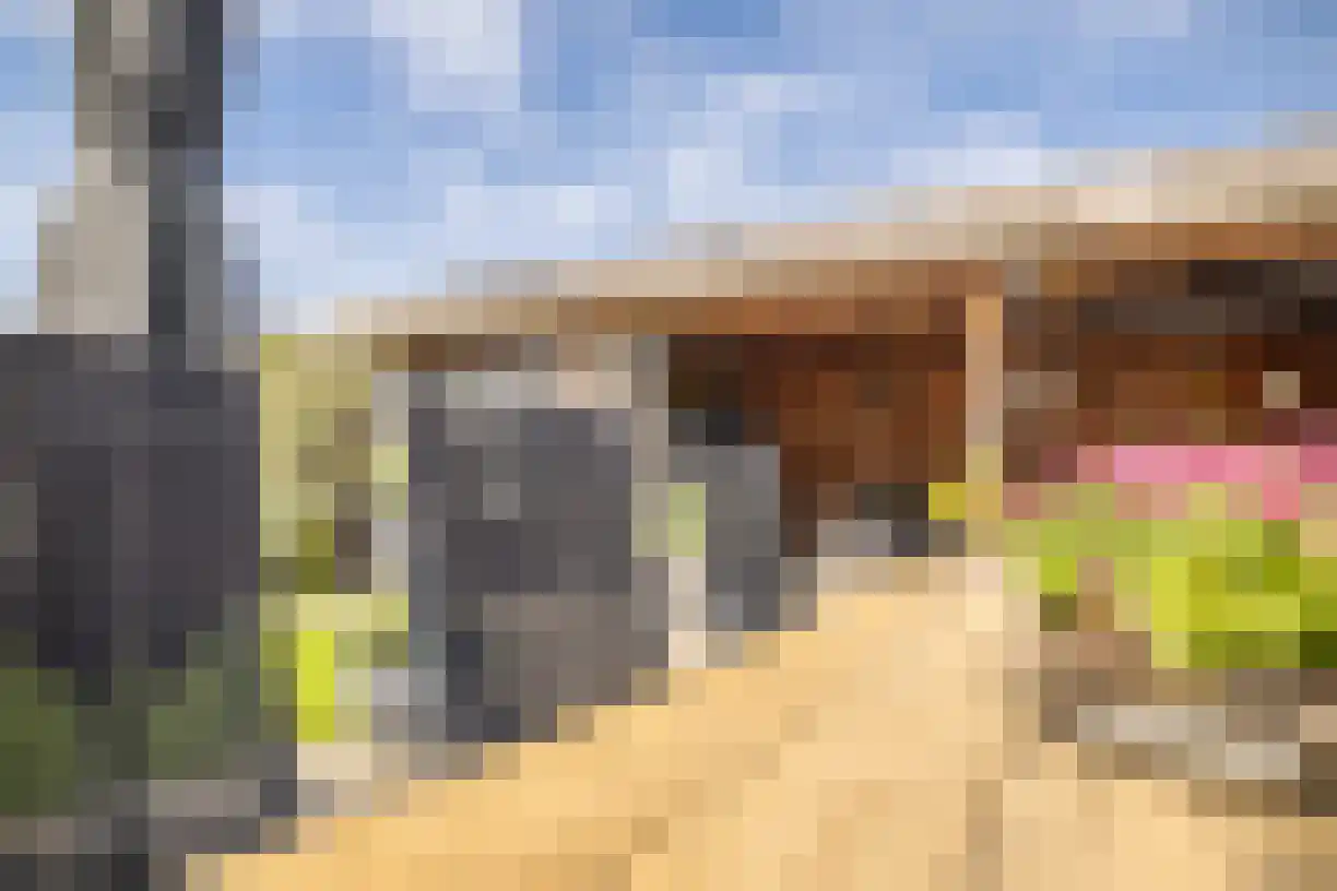 Korenaar 8 Wierden thumbnail 57