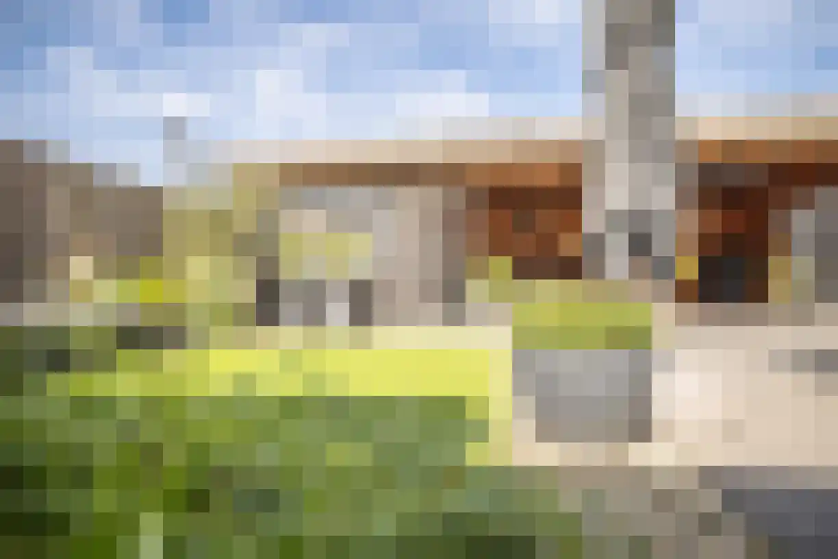 Korenaar 8 Wierden thumbnail 58