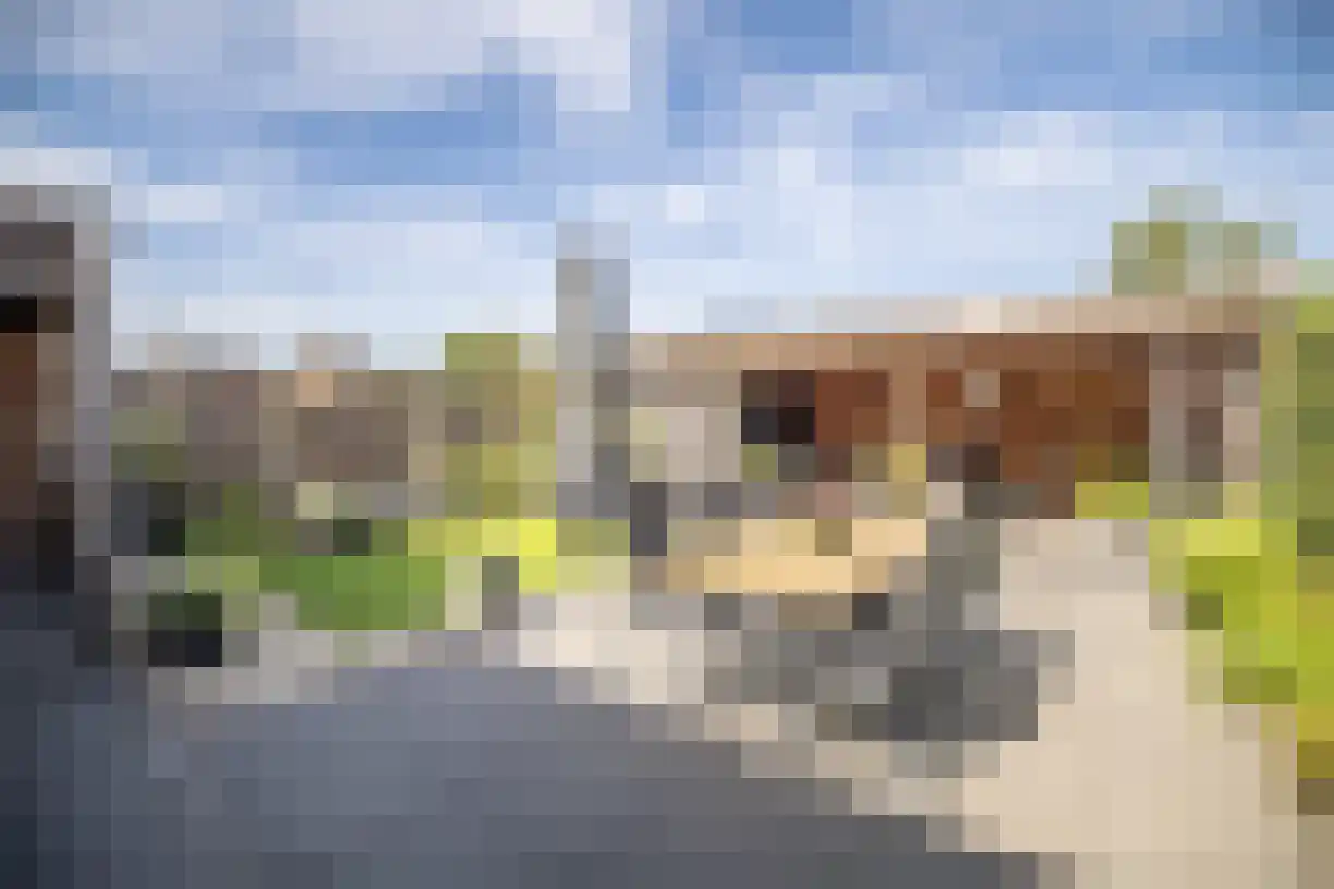 Korenaar 8 Wierden thumbnail 59