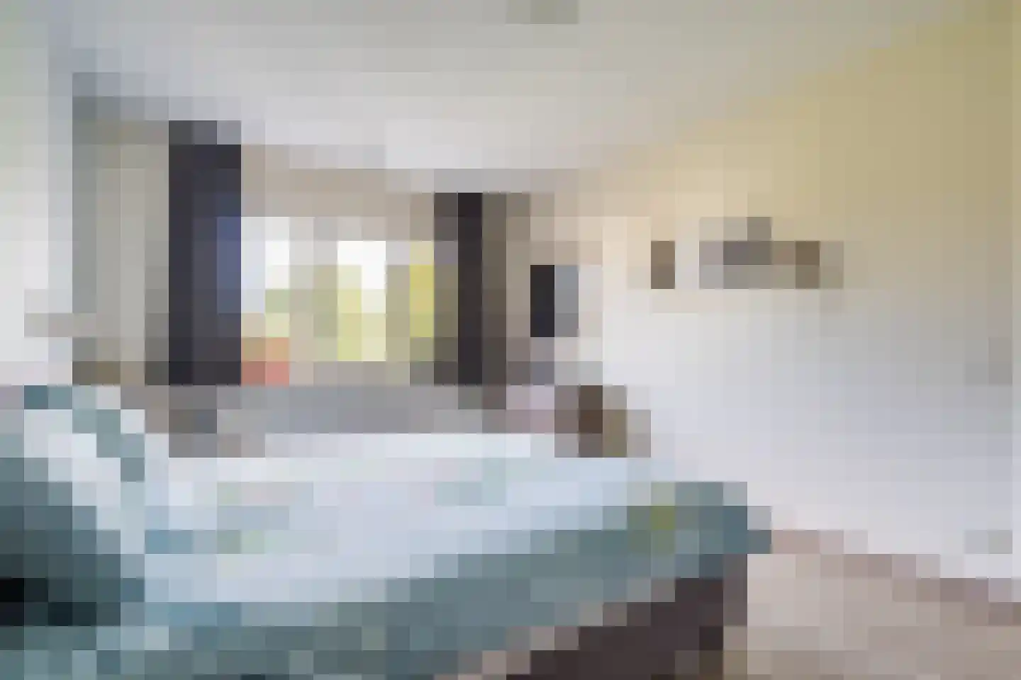 Korenaar 9 Weert thumbnail 29