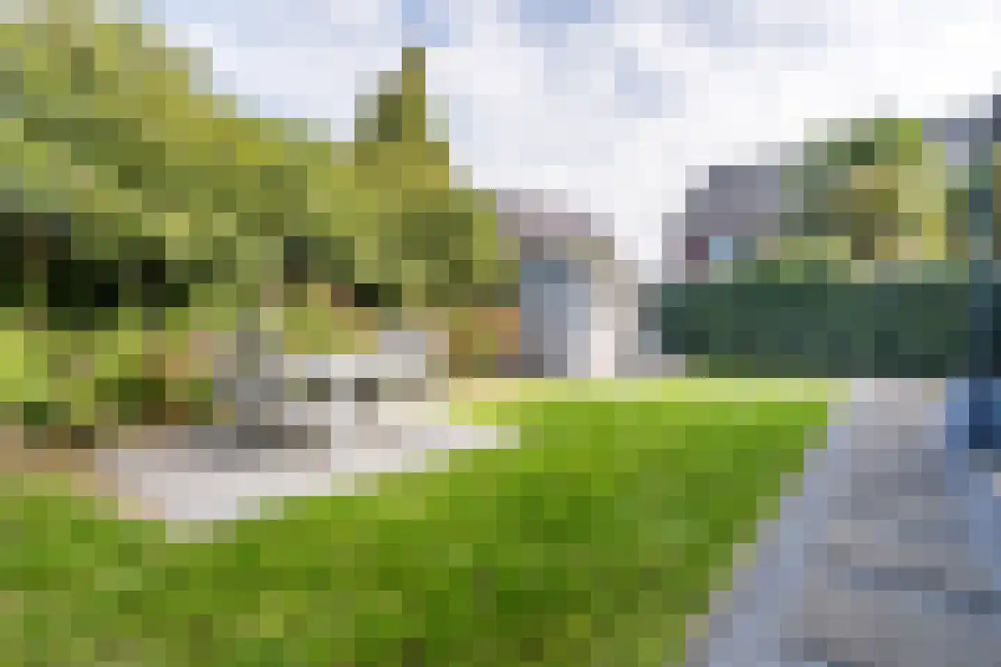Korenaar 9 Weert thumbnail 44