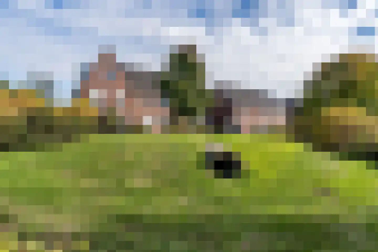 Korenaar 9 Weert thumbnail 49