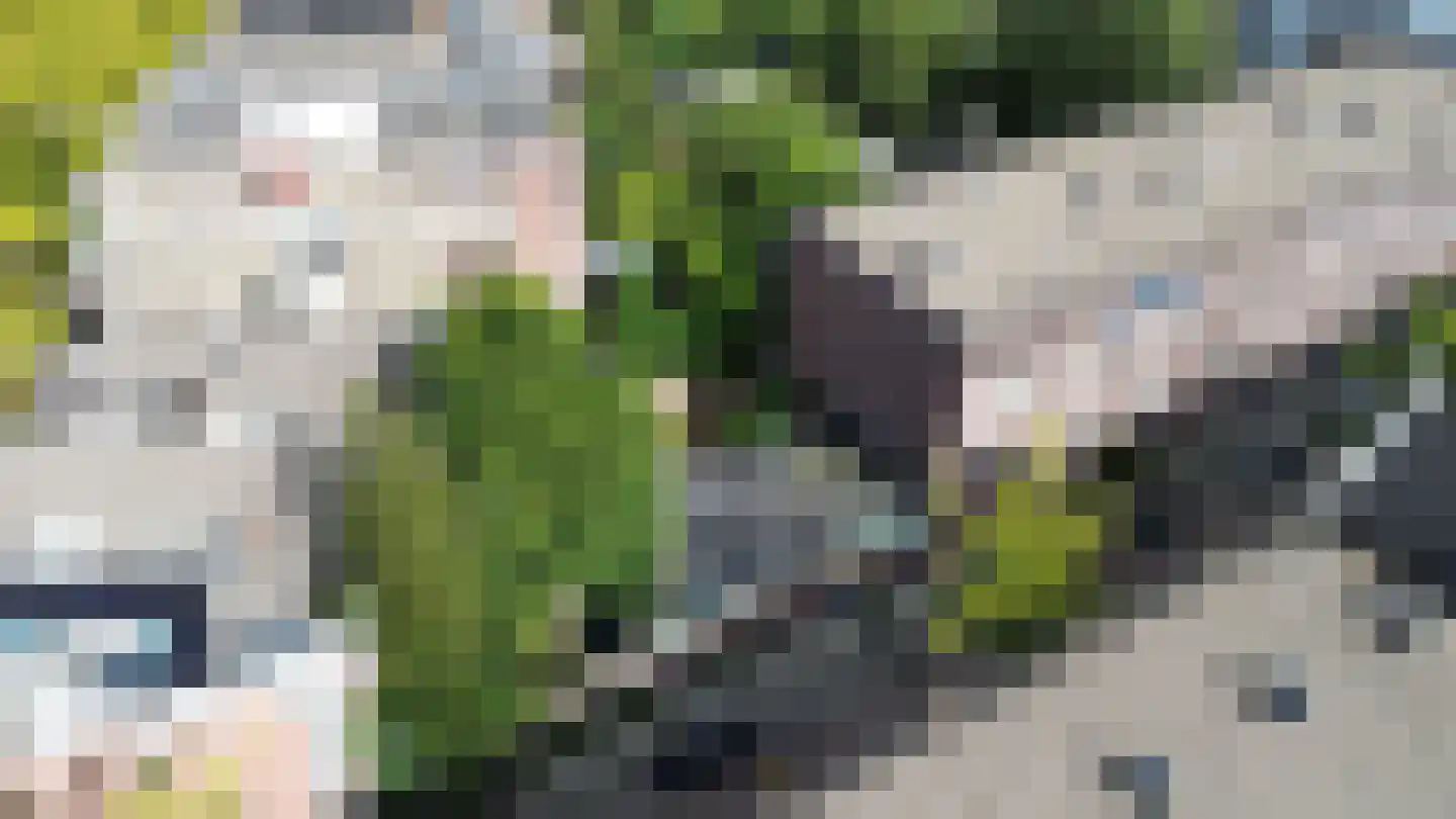 Korenaarstraat 14 Rotterdam thumbnail 10