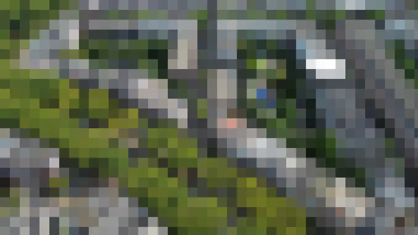 Korenaarstraat 14 Rotterdam thumbnail 13