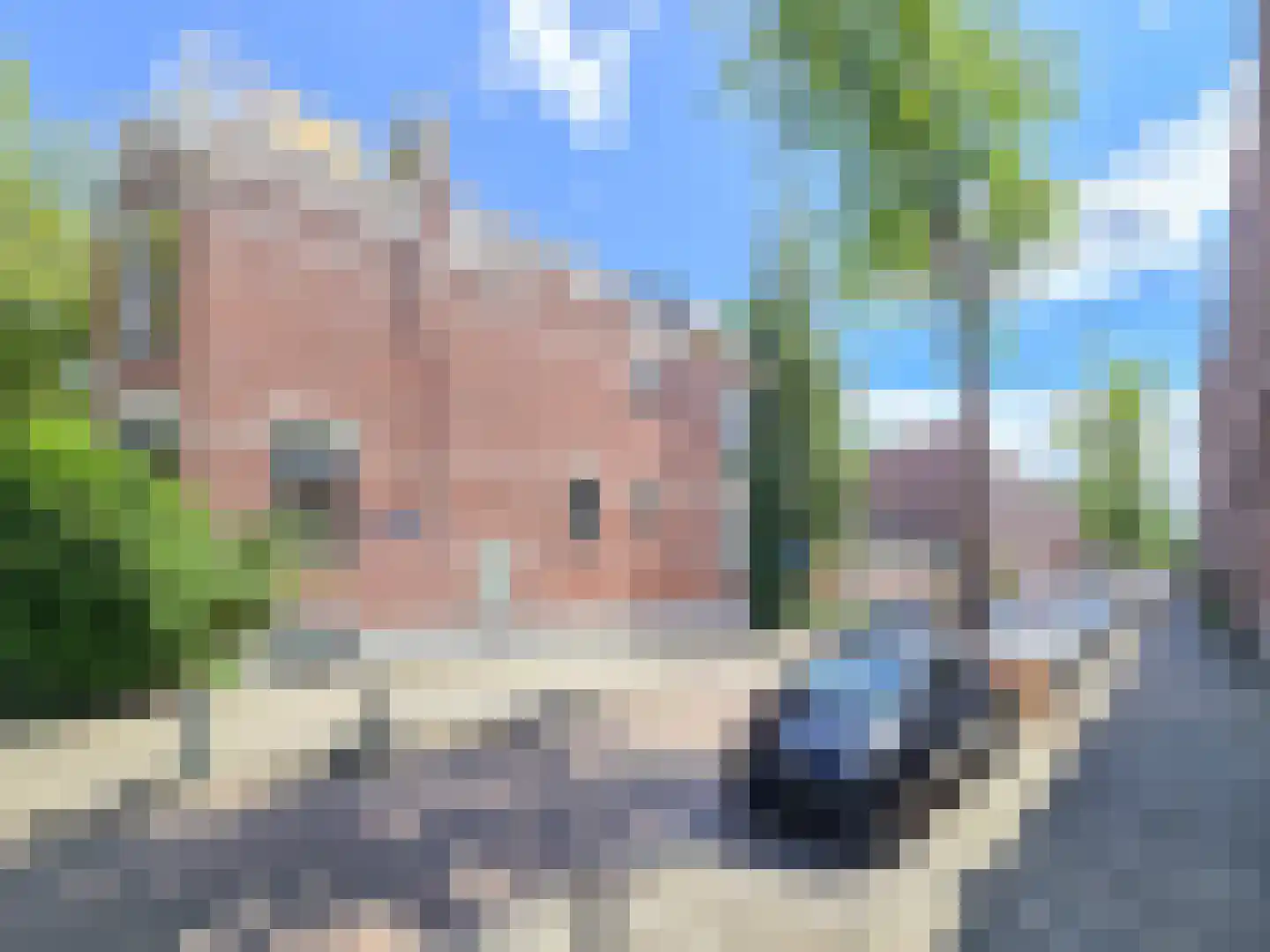 Korenaarstraat 14 Rotterdam thumbnail 6