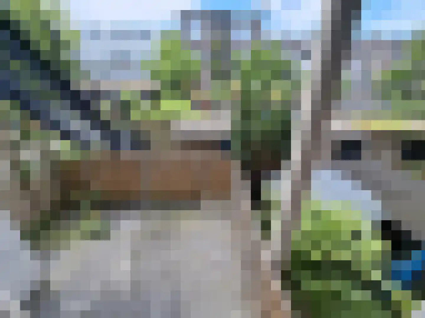 Korenaarstraat 15 Rotterdam thumbnail 19